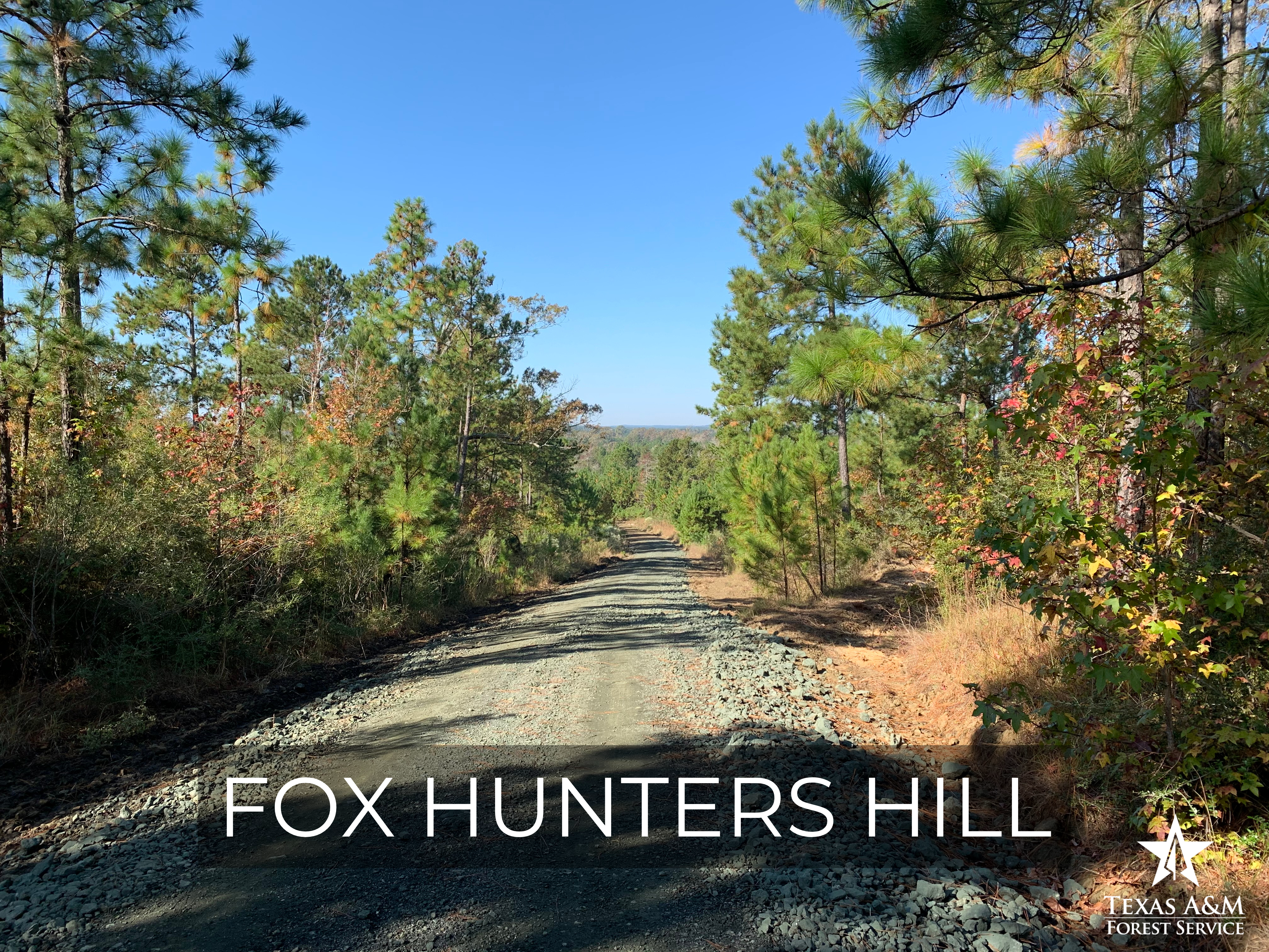 Fox Hunters Hill